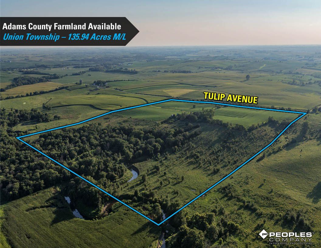 Listing Photo: Adams-County-Iowa-Farmland-Available-136-Acres-Blazek-Estate-19707 (30)